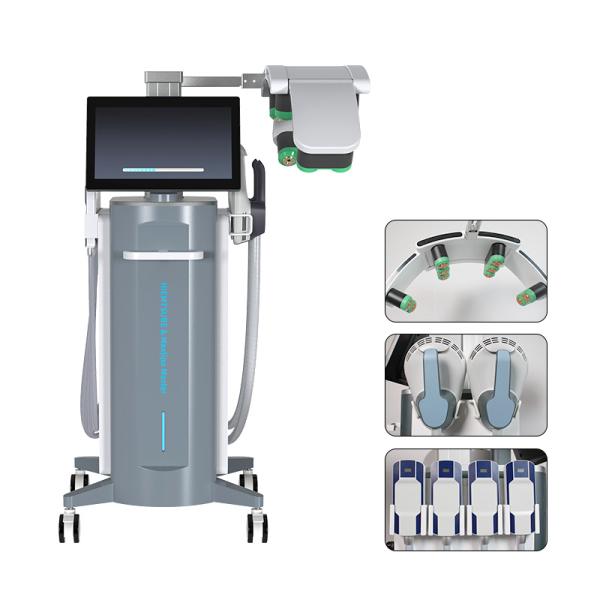10D HIEMTSURE Cryolipolysis Slim System