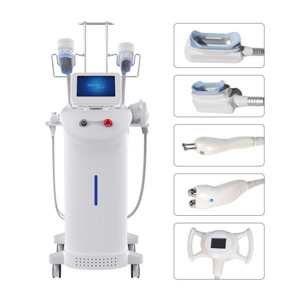 360 Degree Cryolipolysis RF Fat Removal Machine